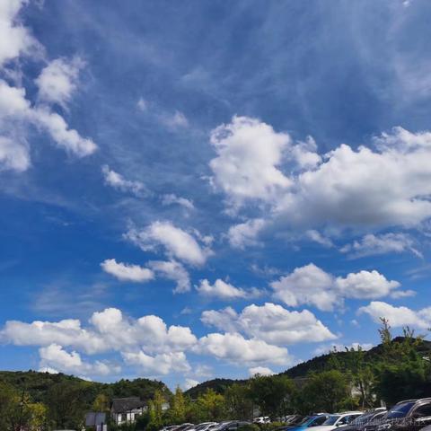 小橙子呀于2022-06-25 10:24发布的图片