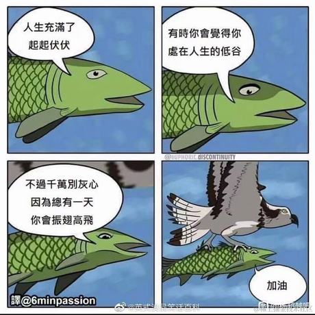 老衲呢于2021-04-09 09:55发布的图片