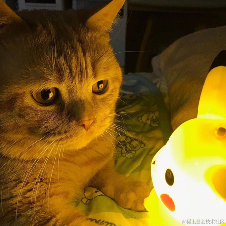 Mancuoj于2021-09-29 09:21发布的图片