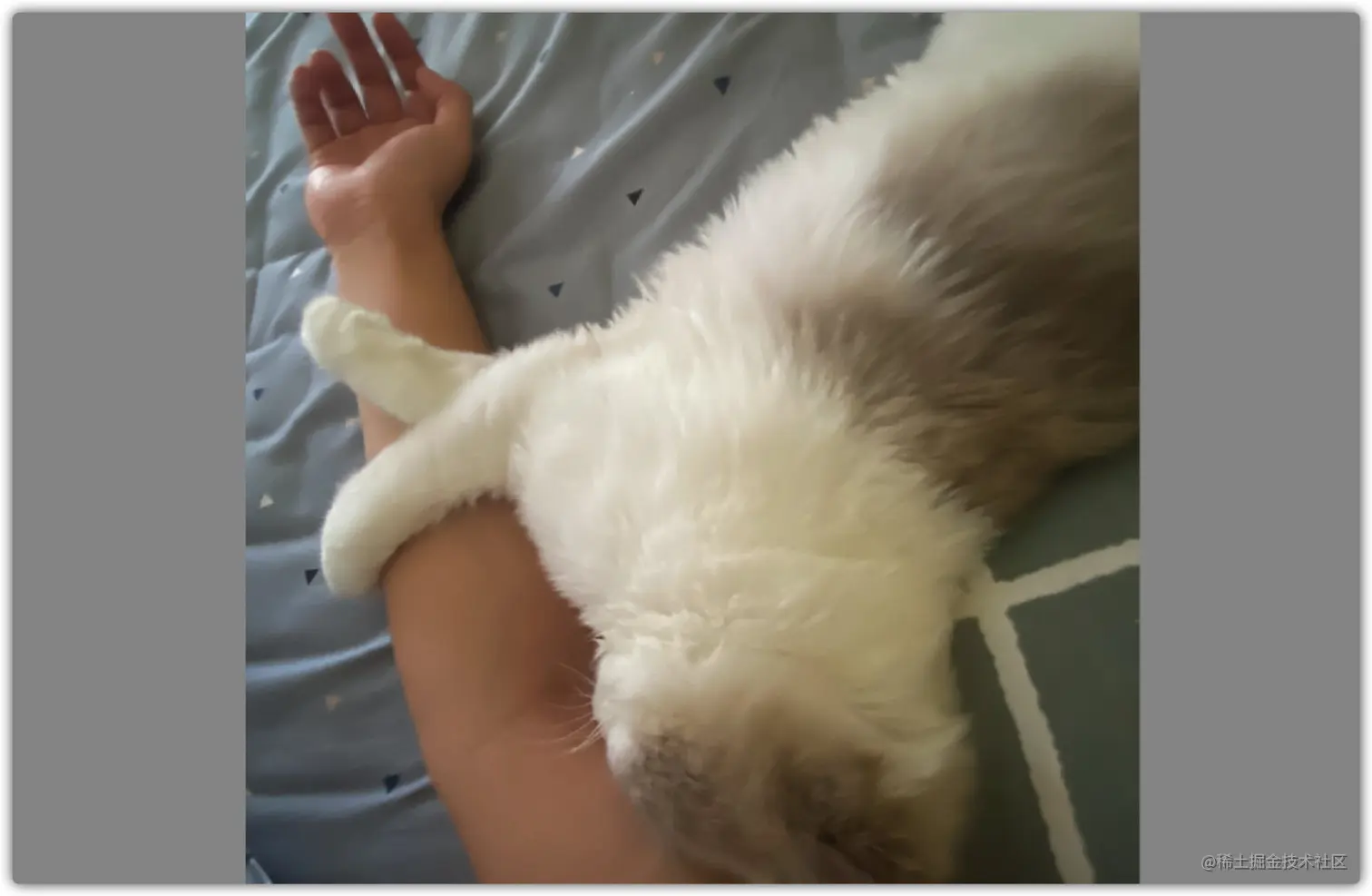 image-20210815173820046