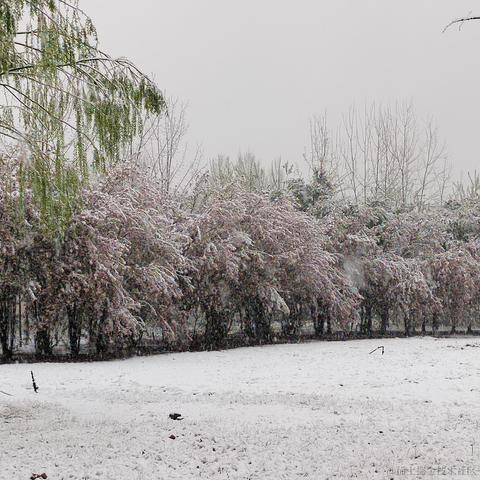 wumian233333于2023-03-28 11:07发布的图片