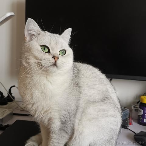 一光光一于2022-11-30 01:09发布的图片