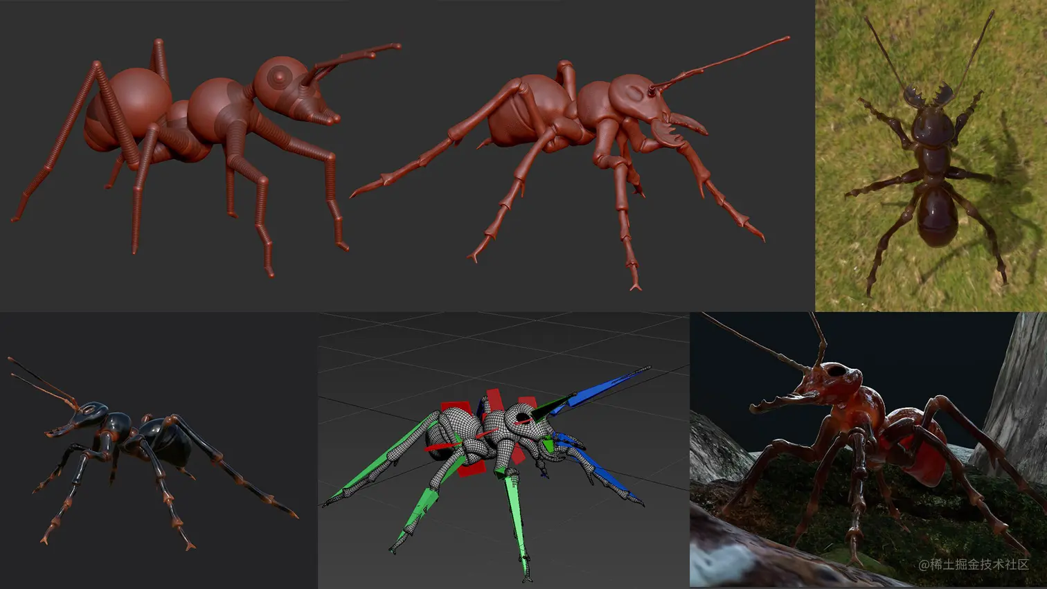 使用ZBrush制作蚂蚁模型-瑞云渲染