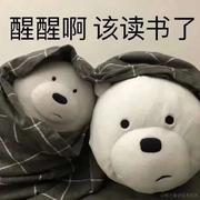 前端电气小白鼠的个人资料头像