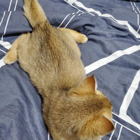 将军山最速下山传说于2020-12-15 08:28发布的图片