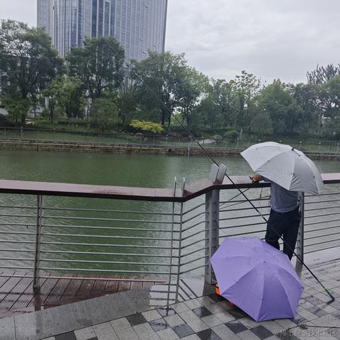 伪电气白兰地于2023-06-25 19:50发布的图片