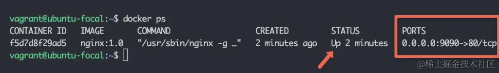 docker容器状态