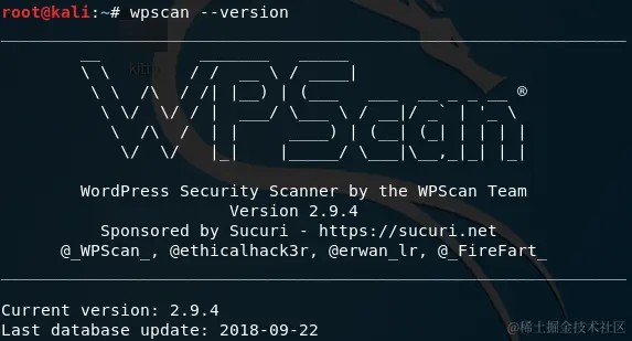 wpscan-version