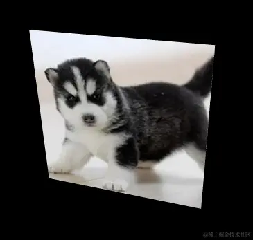 image-20230924125059680