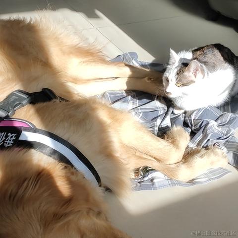 吉比特雷霆游戏HR于2021-01-21 16:53发布的图片