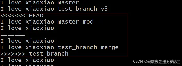 发生冲突的文件