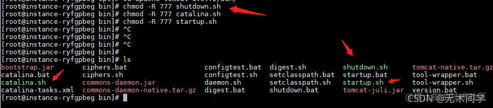 在这里插入图片描述