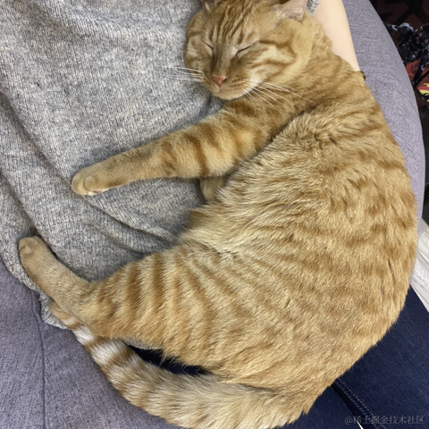 avavaava于2022-11-15 01:52发布的图片