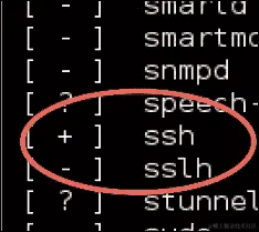 设置 SSH 服务