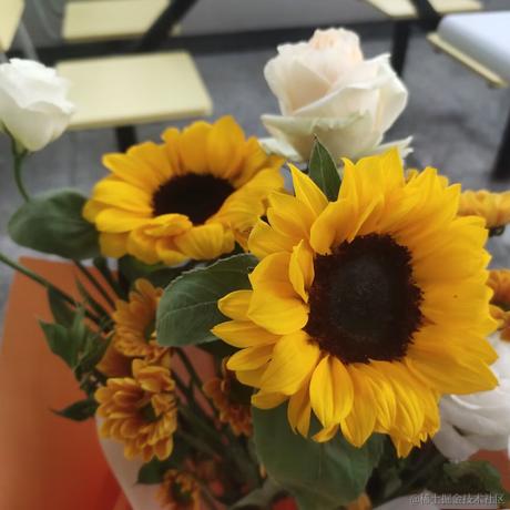 晚晚是个小哭包于2022-11-25 19:15发布的图片