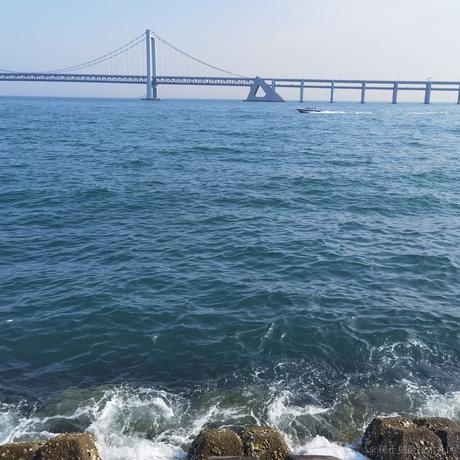 蒸虾头于2023-06-28 11:45发布的图片