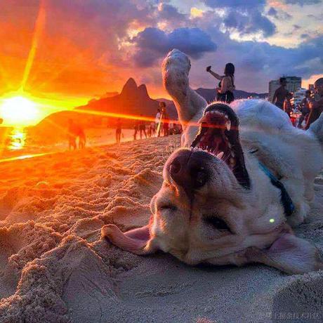 向往地方于2022-12-30 19:41发布的图片