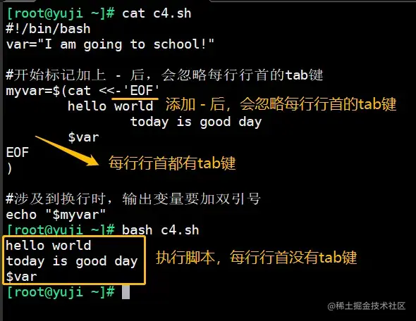 Shell编程之免交互 掘金
