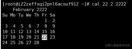 image-20220311155529294