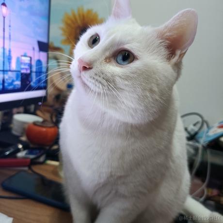 aico于2022-12-02 00:51发布的图片