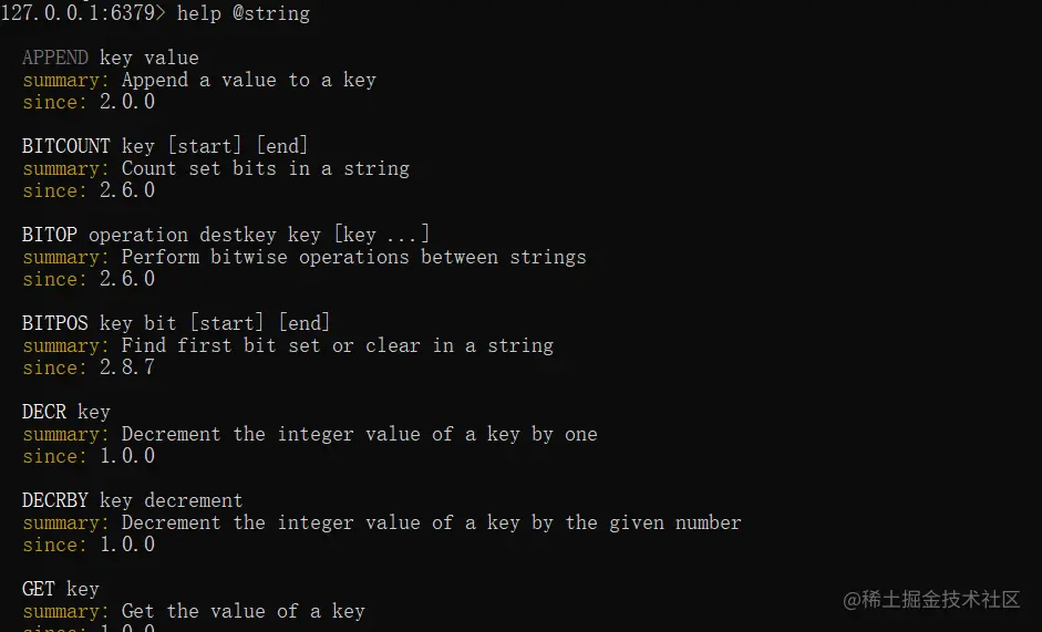 image-20220215164905624
