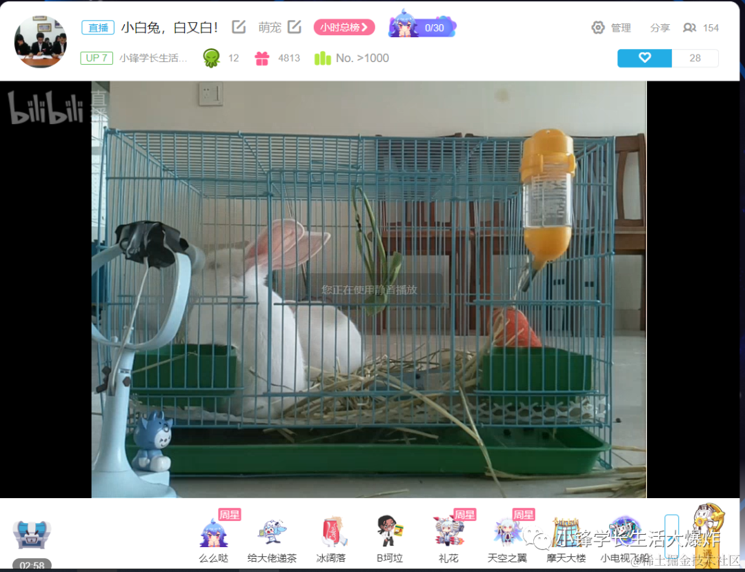  opencv rtmp ffmpeg http ffmpeg ffmpeg rtm 