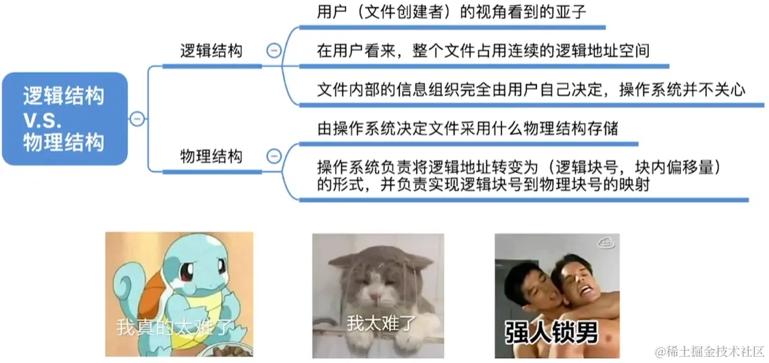 image-20230819054852277