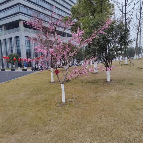 吃鱼徐于2023-06-07 10:32发布的图片