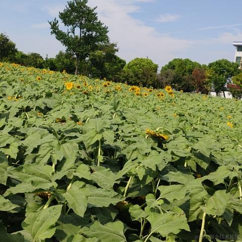 此帐号已注销于2022-08-17 12:20发布的图片