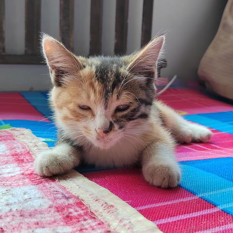 薄岁于2023-07-05 08:04发布的图片