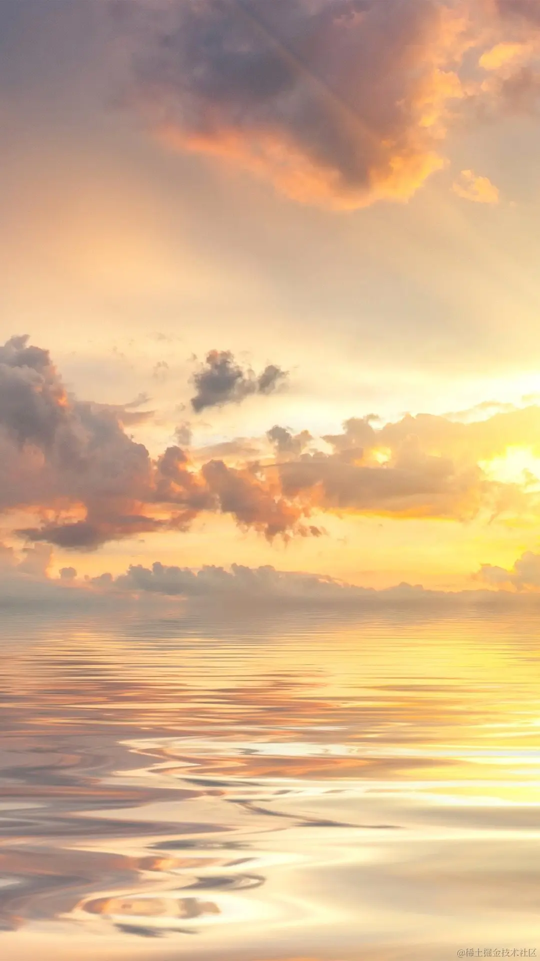 bf706c0b65dc48a27fb9bb3efa39f6c79d0b33134a50a-rMAqaF_fw1200.jfif