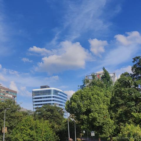 bysking于2023-08-28 19:03发布的图片