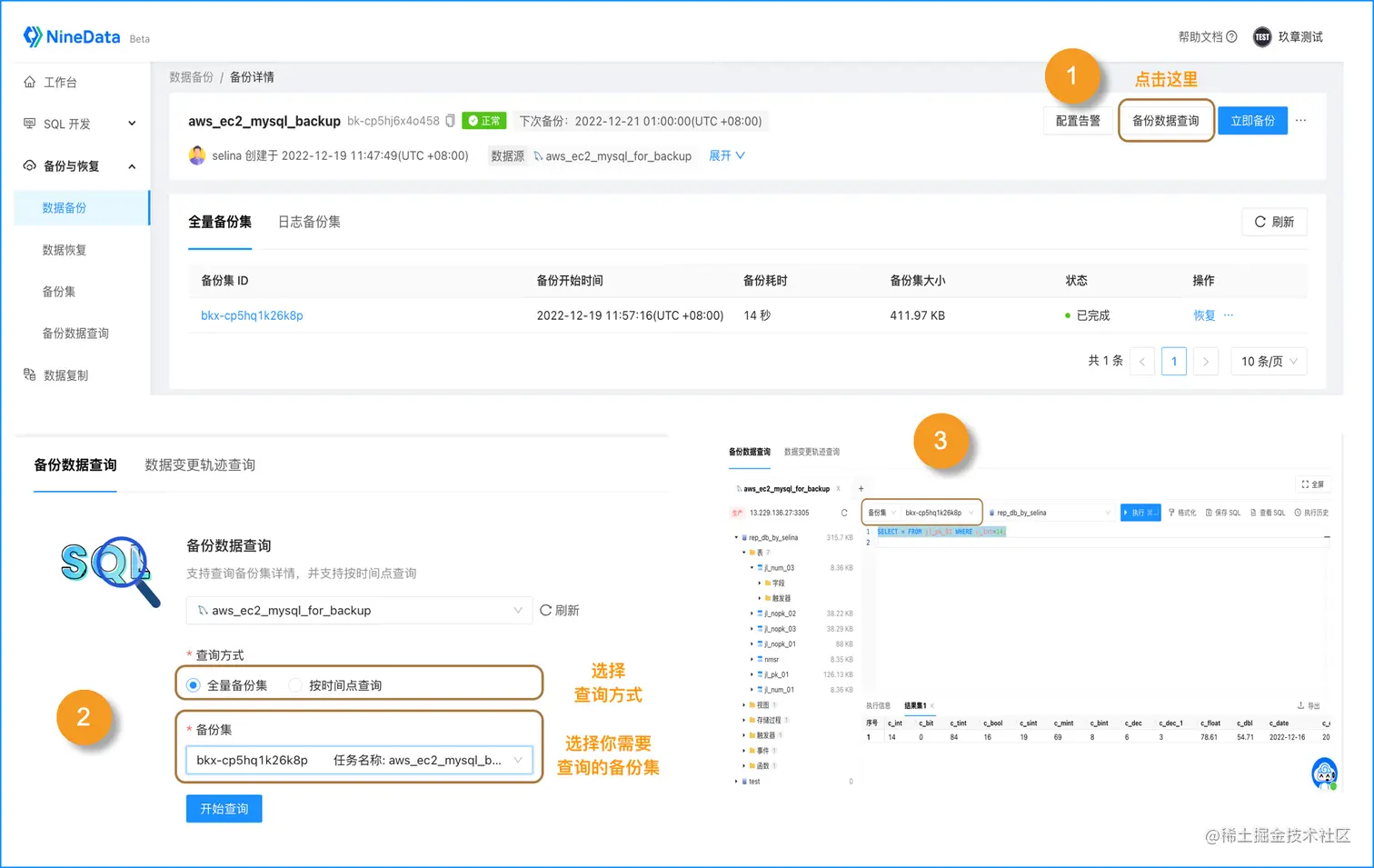 NineData SQL进行备份数据的查询