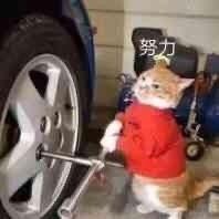 小琳天天开心于2022-11-30 10:40发布的图片