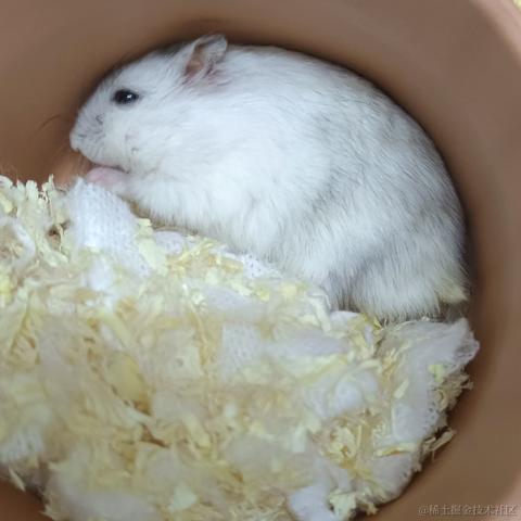 敲敲敲敲暴你脑袋于2023-10-16 07:43发布的图片