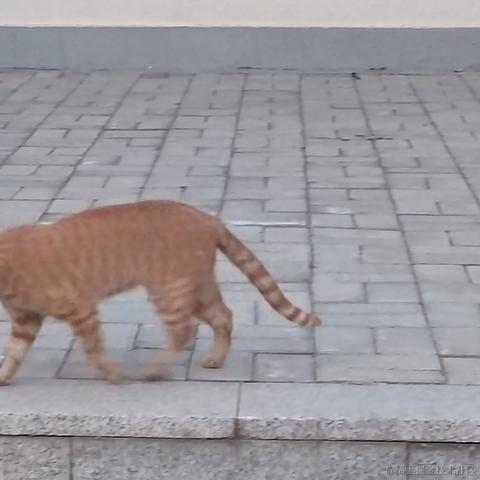 用户1008683613726于2023-05-10 20:17发布的图片