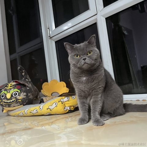 九叔no于2022-11-17 23:05发布的图片