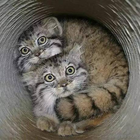 七五96于2023-11-07 17:31发布的图片