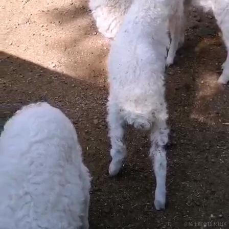 邂逅耶于2020-10-10 14:27发布的图片