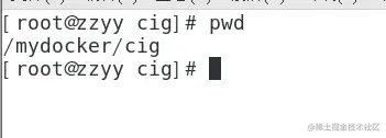 image-20230411125425646