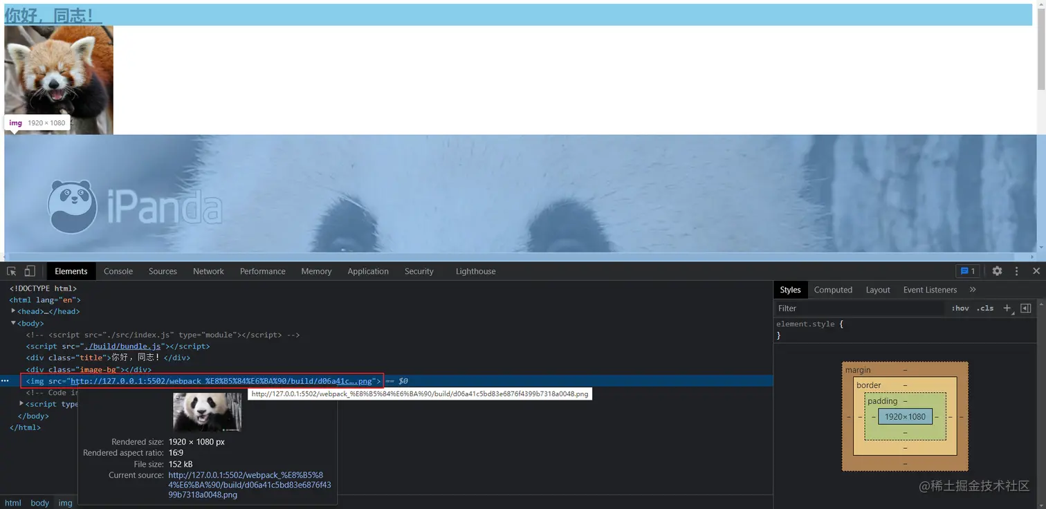 image-20211109233110194