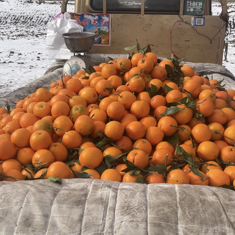 阿殷于2023-01-20 14:09发布的图片