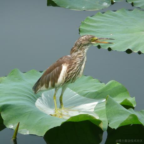 日月昭昭于2023-05-17 21:14发布的图片