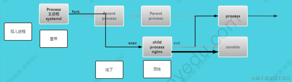 image-20240131230729174