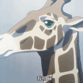 张鑫旭于2023-03-12 10:31发布的图片