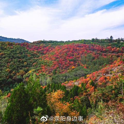 爱吃荆芥于2020-10-30 09:54发布的图片