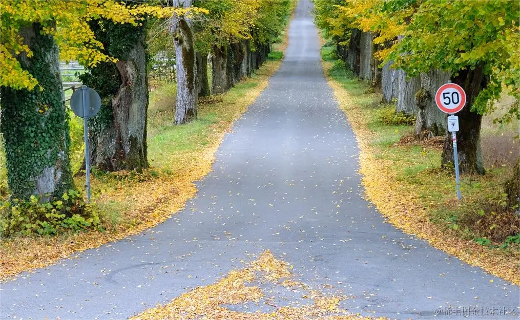 autumn-5680878_1280.jpg