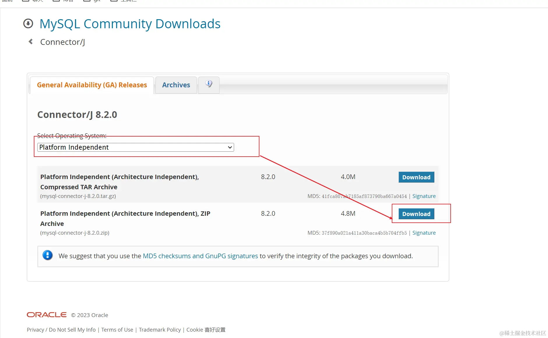 image-20231119220940508