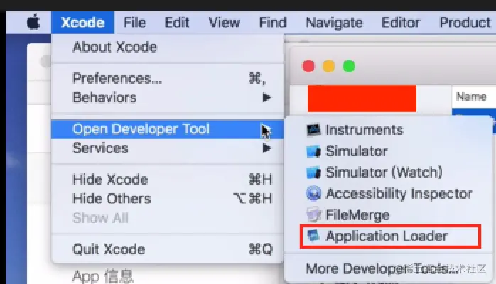 “Open Developer Tool”下的“Application Loader”